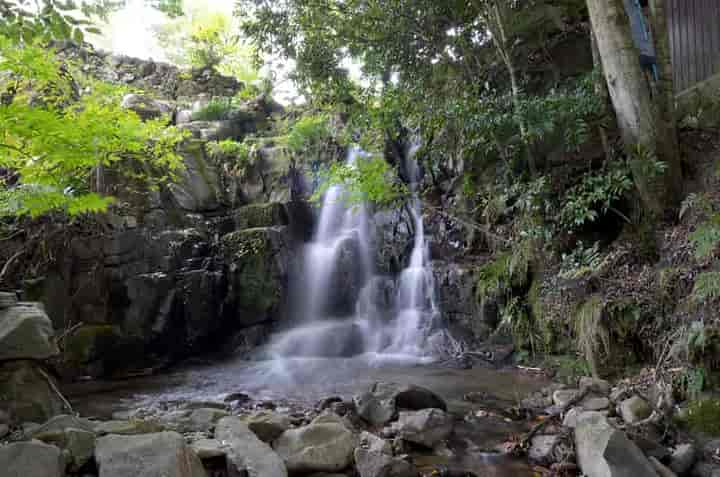 ���J�s����E�S�i